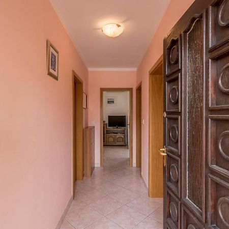 Apartmani Prkacin تروغير المظهر الخارجي الصورة